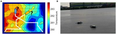 Multi-USV Adaptive Exploration Using Kernel Information and Residual Variance